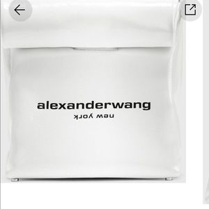 Alexander wang lunch box tote bag.